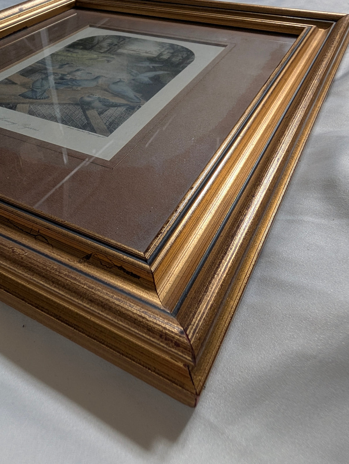 Antique Victorian J.G. Keulemans Lithograph 'Homing Pigeons' – Framed Natural History Bird Print by Swan Electric Engraving Co. in Stepped Gilt Frame